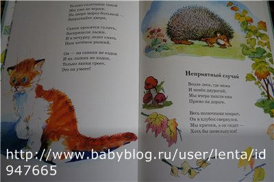 Кот Василий