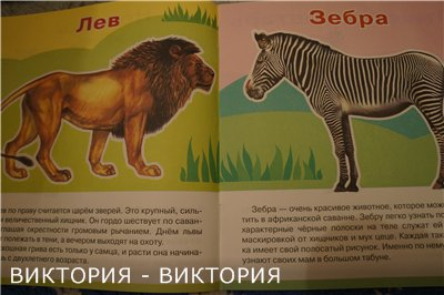 Мини-энциклопедии 2