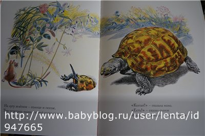 Луговая считалочка - Over In The Meadow - John Langstaff