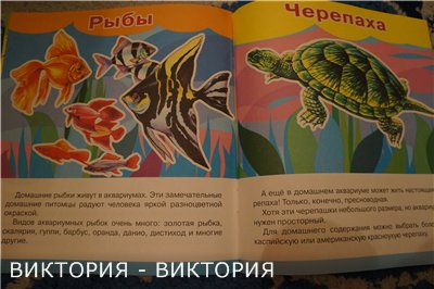 Мини-энциклопедии 2