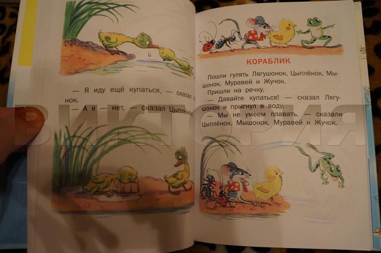 наш В. Сутеев