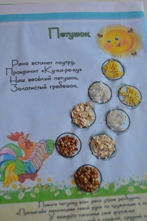 курица, петух, цыпленок