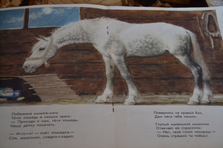 Лошадь 3 день..