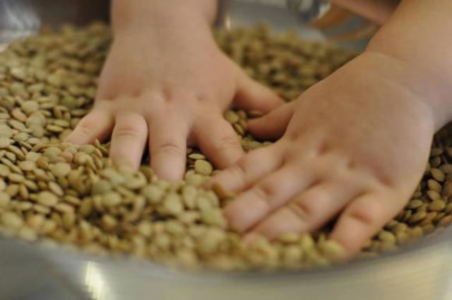 ФМ Монтессори-понедельник (раздача материала)