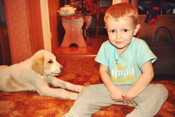 Фотографическая литература