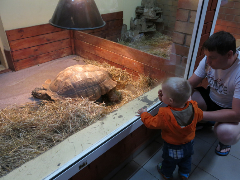 Поездка в Екатеринбург с Кимом 1,4 года.