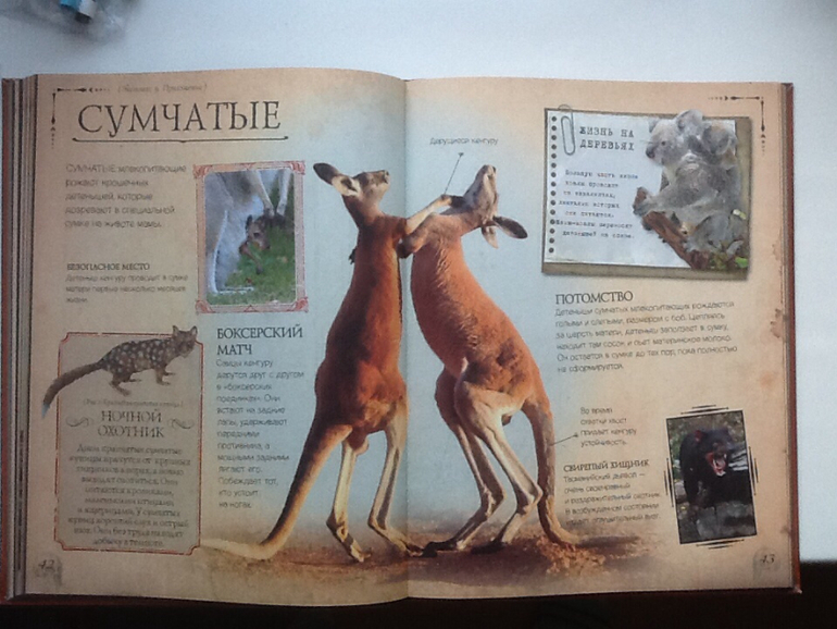 Ну очень классная книжка!!!(Новинка от Clever)