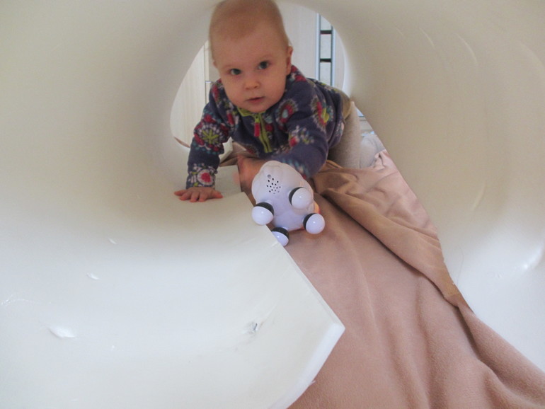 Наши 11 (зубы, кусочки и книги)