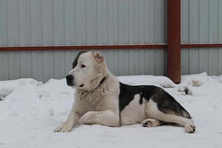 Мой самый преданный друг=)