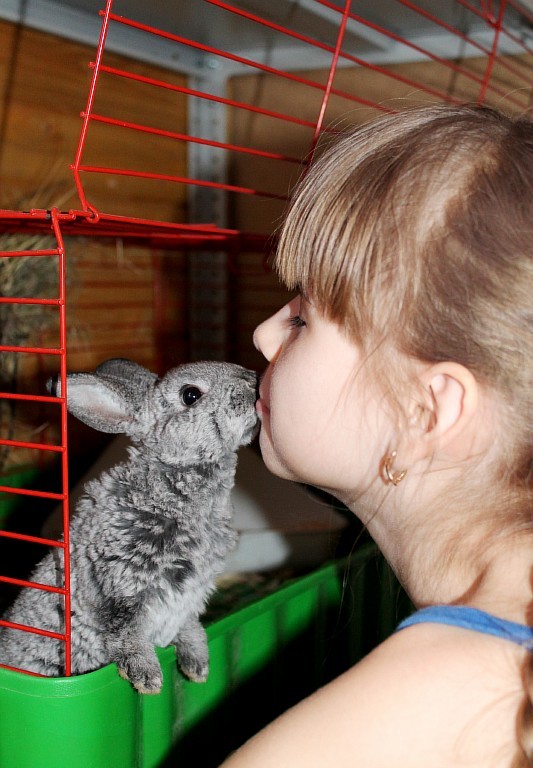 Как это миленько....