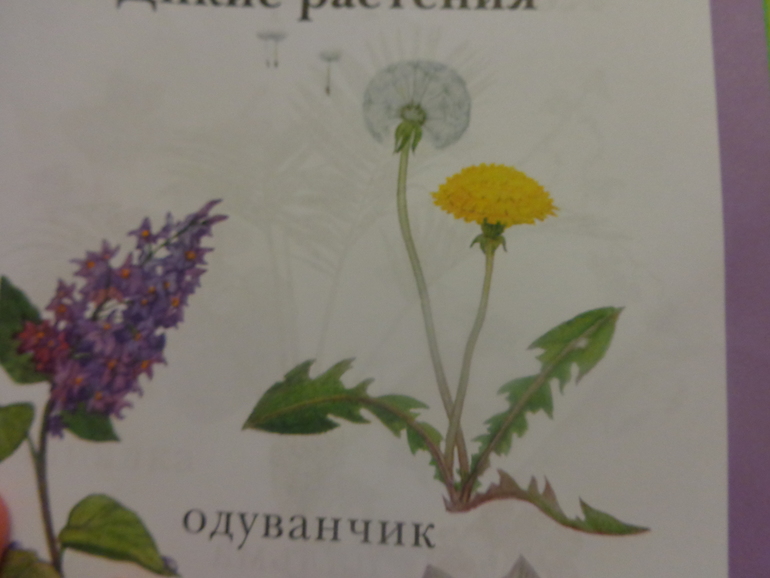 ТЗ