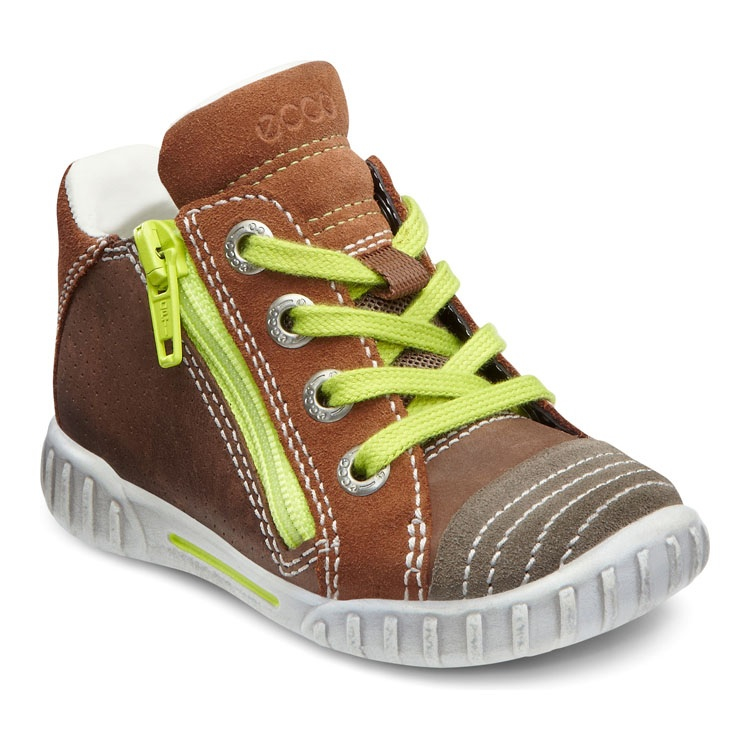 Подскажите по ботинкам Экко