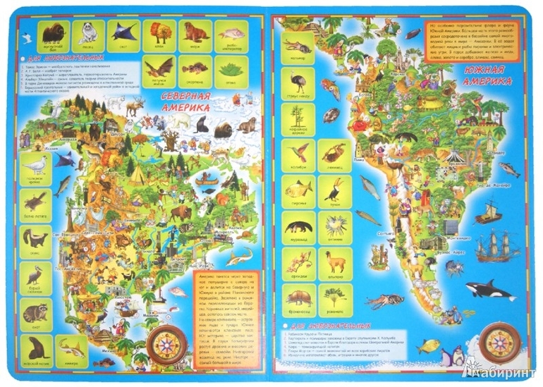 Наша библионочь )