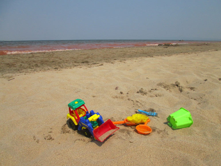 Грудничок и шилопоп отдыхают дикарями.