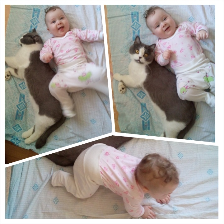 рачок)