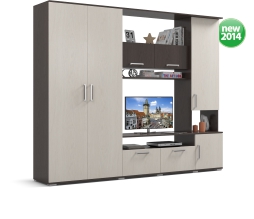 Стенка в гостиной