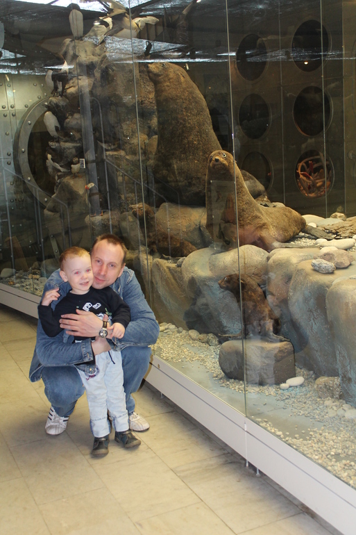 Дарвиновский музей.