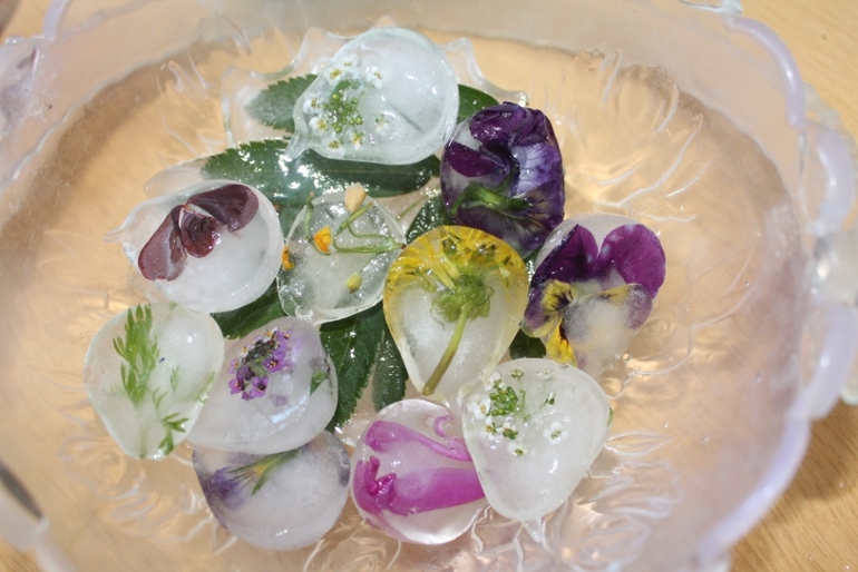 Как сохранить цветы зимой, как разжечь огонь,какие цветы самые полезные и многое другое в нашем занятии по академии умницы