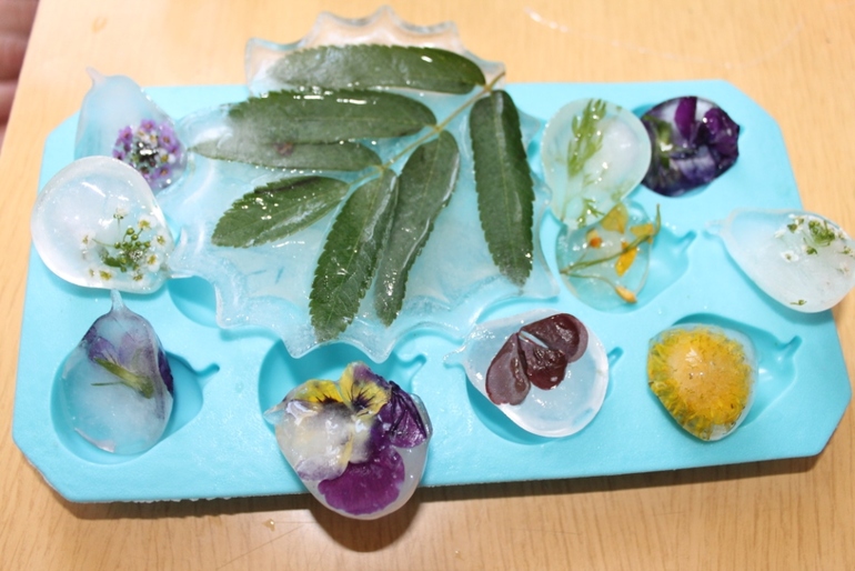 Как сохранить цветы зимой, как разжечь огонь,какие цветы самые полезные и многое другое в нашем занятии по академии умницы