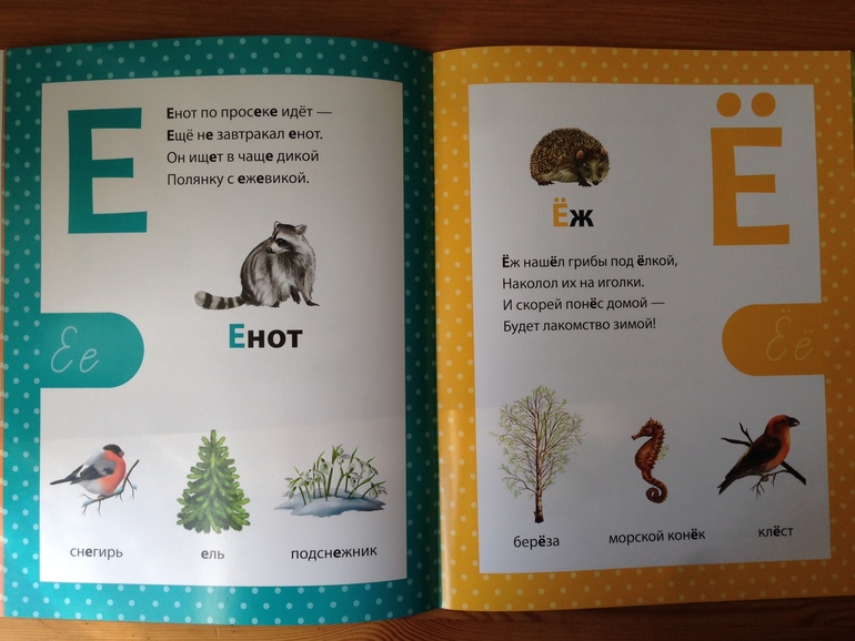 Азбука в стихах. Филиппова Анастасия, изд. Сибиллиана