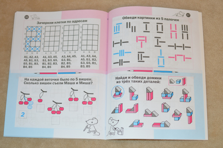 Женя кац необычная математика. Математика Кац 5 лет. Необычная математика тетрадка логических заданий для детей 5-6 лет. Необычная математика 5-6. Логические задачи жени Кац.